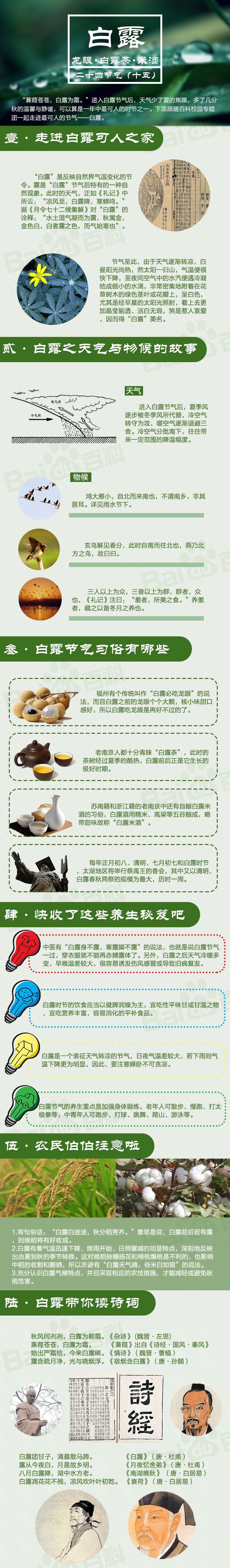 白露