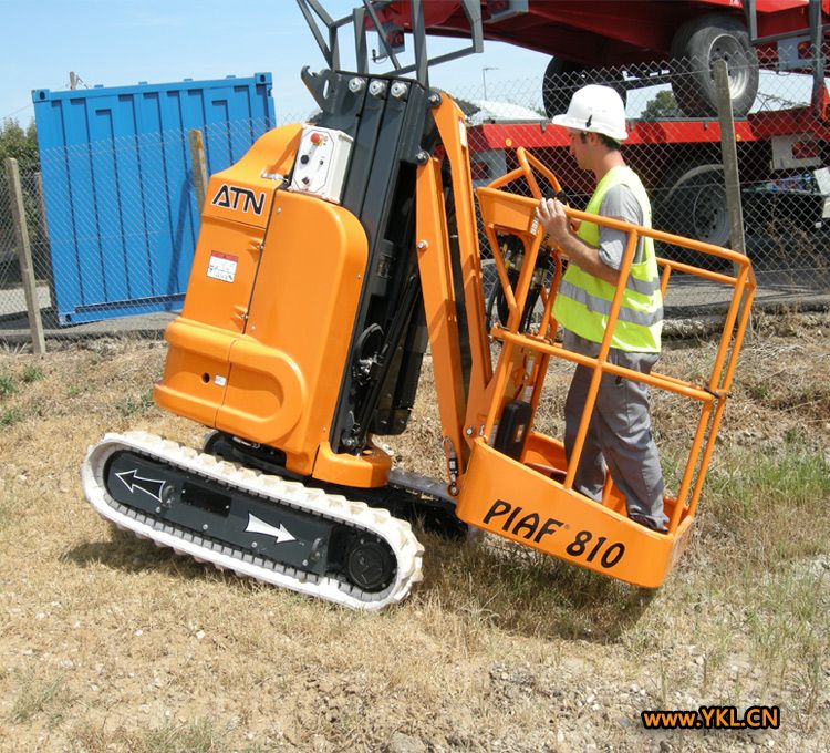 PIAF810
