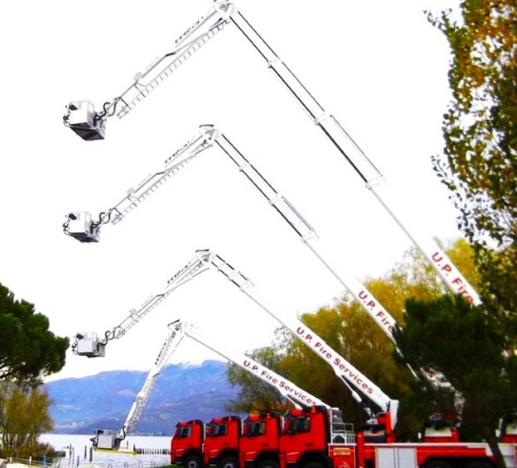 ALP444